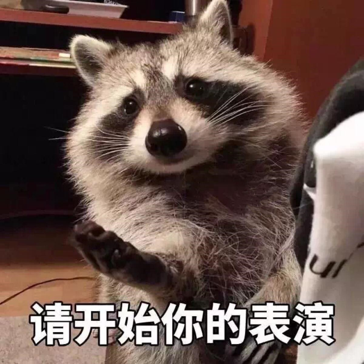 表演.jpg